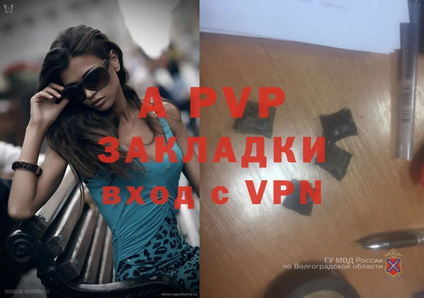 apvp Аркадак