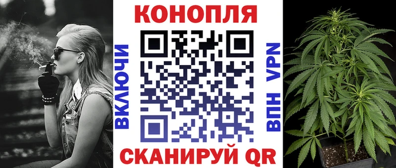 Бошки Шишки ГИДРОПОН Сысерть
